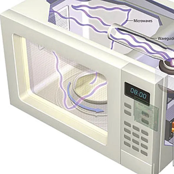 microwave damage due to thermos