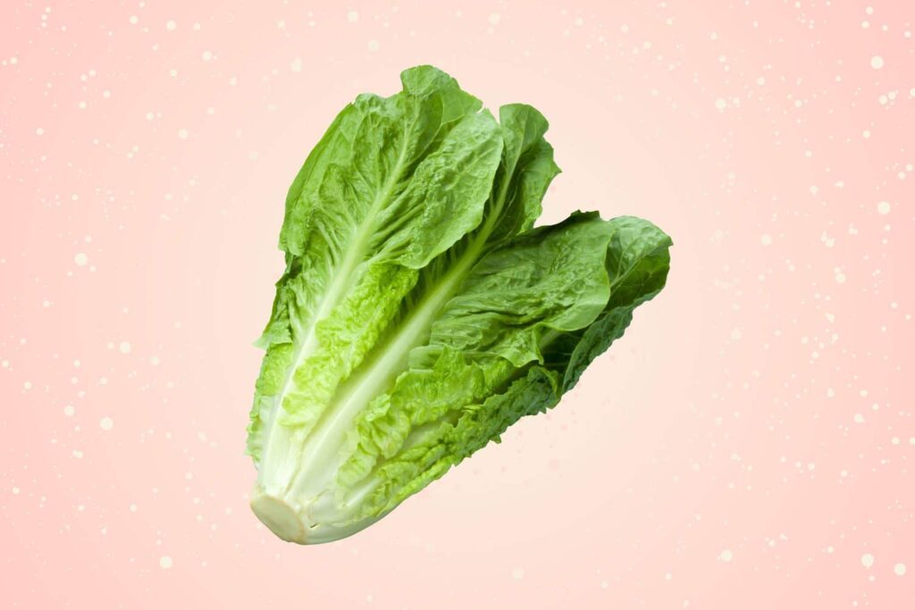 romaine lettuce