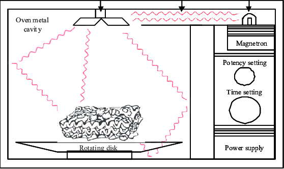 microwave radiation Absorption by Water