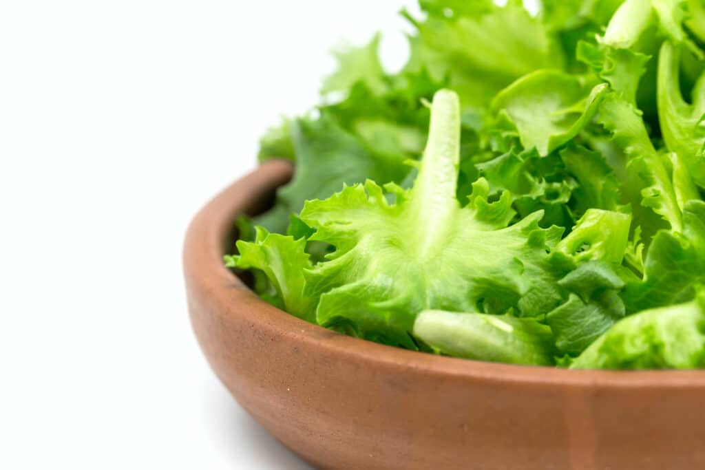 Lettuce Incorporating Into Warm Dishes