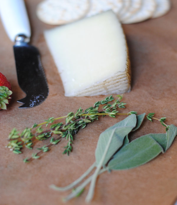 combinations of cheeses and herbs for delightful taste