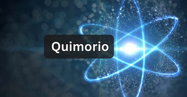 Quimorio – You Must Know This In 2024!